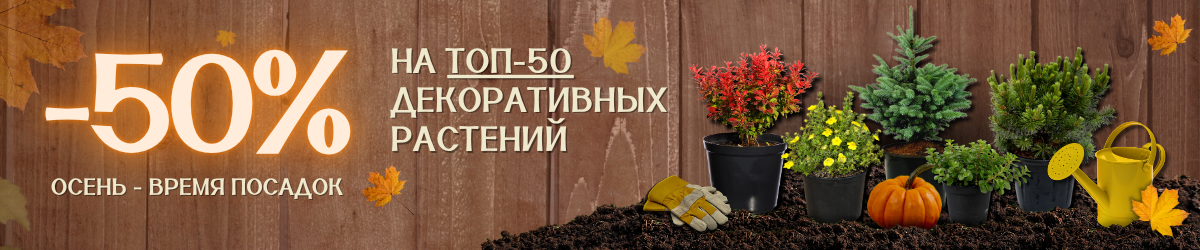 Акция на топ 50 декоративных Акция на топ 50 декоративных
