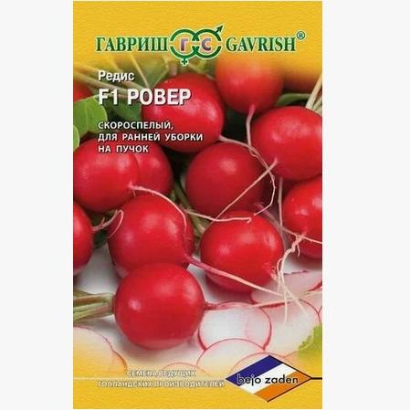 Редис Ровер F1 (Голландия) Редис Ровер F1 (Голландия) - Dolina-Sad.Ru