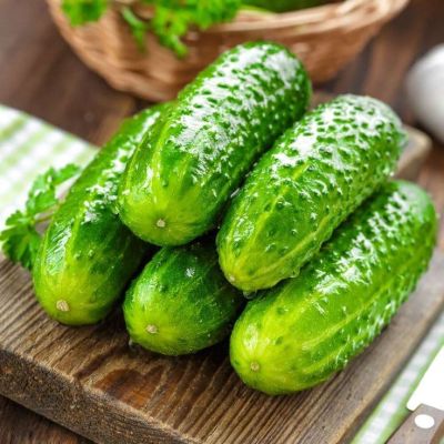 Огурец Посол F1 Огурец Посол F1 фото