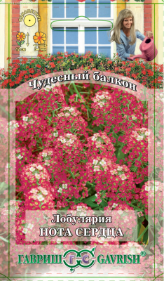 Лобулярия Нота сердца* "Чудесный балкон" Лобулярия Нота сердца* "Чудесный балкон" фото