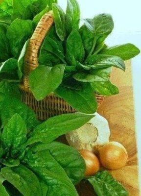 Шпинат Крепыш Шпинат Крепыш фото