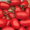 Томат Ирэн F1 (А) Томат Ирэн F1 (А) фото