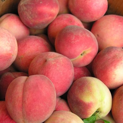 Персик Рич Мей Персик Рич Мей - Dolina-Sad.Ru