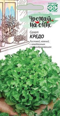 Салат Кредо, Урожай на окне фото