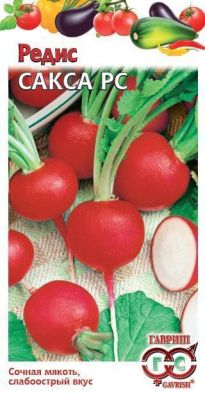 Редис Сакса РС фото