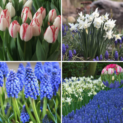 Этажный Микс №1 Этажный Микс №1 фото