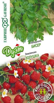 Петрушка Бисер + Земляника Золушка фото