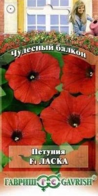 Петуния Ласка F1 крупноцв. гранул. "Чудесный балкон" Петуния Ласка F1 крупноцв. гранул. "Чудесный балкон" фото