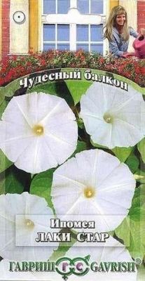 Ипомея Лаки стар "Чудесный балкон" фото