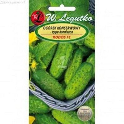 Огурец Родос (Польша) Огурец Родос (Польша) фото