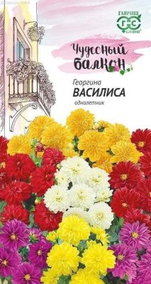 Георгина Василиса "Чудесный балкон" Георгина Василиса "Чудесный балкон" фото