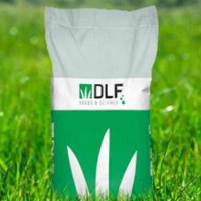 Газонная травосмесь DLF Trifoum (Roustica) фото